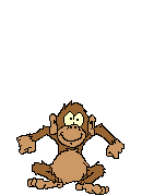 animal62.gif
